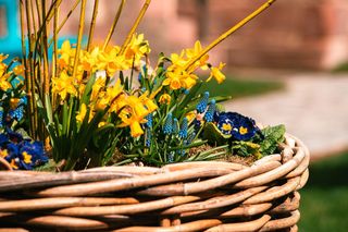 Kompozycje kwiatowe na wiosnę