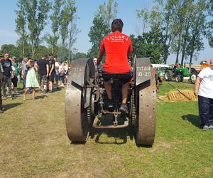 Festiwal starych ciągników w Wilkowicach. Setki maszyn, tysiące widzów i upał