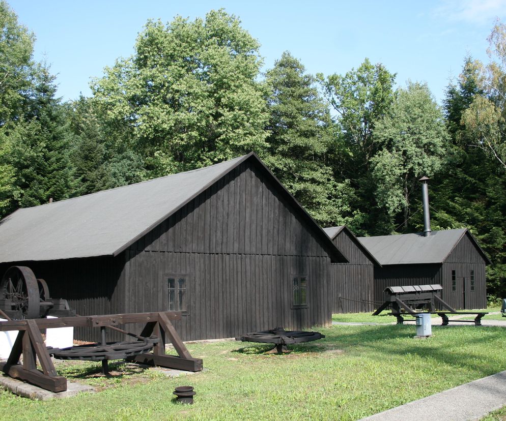 Niestandardowe atrakcje na majówkę 2026 na Podkarpaciu. Sztuczna inteligencja stworzyła listę