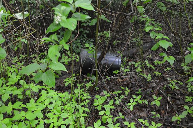 Łaziska. Tornado GŁUPOTY na ścieżkach zdrowia! Wandale wszystko zniszczyli
