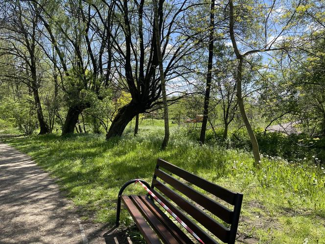 Najdłuższy park w Polsce jest w Krakowie. Ledwo widać go na mapach, a jest pełen atrakcji