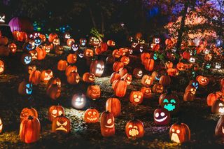 Halloween 2025 w Warszawie. Gdzie się wybrać? Czekają imprezy, pokazy horrorów i atrakcje dla dzieci