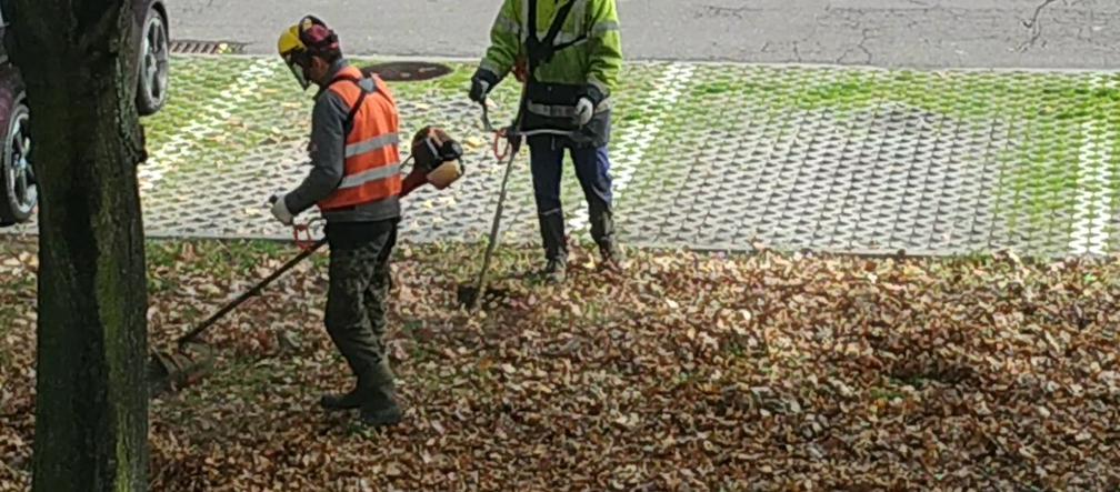 Mieszkaniec Katowic poprosił o uprzątnięcie suchych liści. Oto, co stało się potem. ZOBACZCIE [ZDJĘCIA I WIDEO]