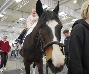 ZOOPARK w Lublinie. „Postawiliśmy na polski las. Chcemy promować nasze zwierzątka”