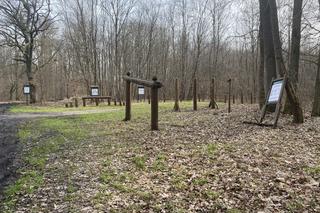 Zmiany w Parku Odrzańskim w Zielonej Górze. Zobacz jak wygląda obecnie