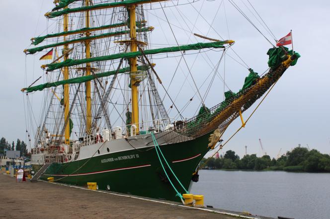 Alexander von Humboldt II