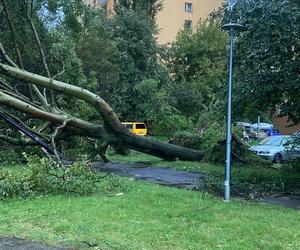 Burze przeszły przez województwo śląskie. Blisko 200 interwencji strażaków. Najwięcej w powiecie raciborskim