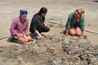 Niezwykłe odkrycie archeologiczne w Chotyńcu na Podkarpaciu