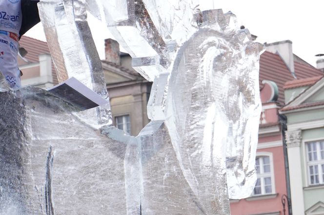 Poznań Ice Festival 2024 