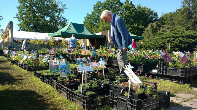 Chorzów: Kwiaty, zioła i dodatki do ogrodu. W Parku Śląskim trwa Święto Kwiatów [ZDJĘCIA]