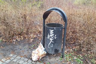Stawy we wrocławskich parkach pełne śmieci