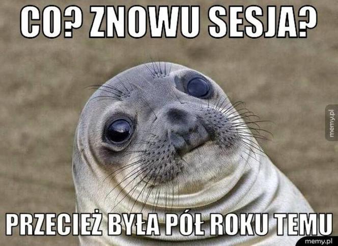 Początek roku akademickiego 2022/2023. Zobacz najlepsze memy o studiach i studentach!