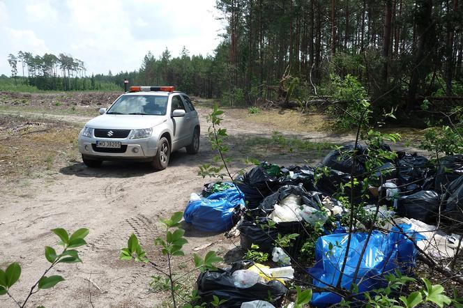 Ponad 10 metrów sześciennych śmieci trafiło do olsztyńskich lasów!
