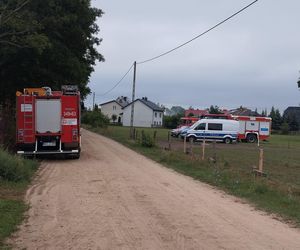 Mroczna tajemnica zaginionego 28-latka z Myszyńca. Sebastian G. zakatowany przez kolegów Makabra w lesie