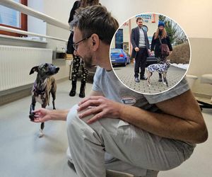 Zola uścisnęła łapę specjalistom, którzy wykonali jej protezę