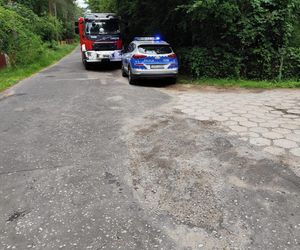 Staruszka wjechała samochodem do stawu! Dramatyczna akcja strażaków