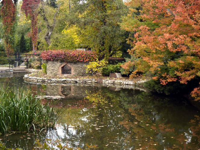 Arboretum Wojsławice prezentuje pełną paletę barw