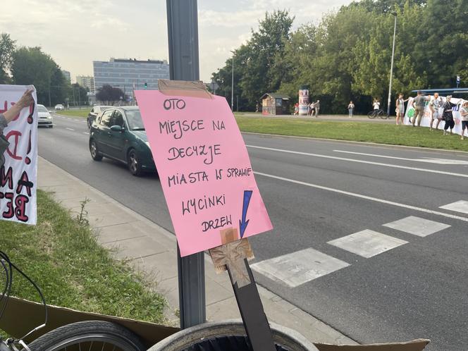 Protest mieszkańców przeciwko wycince drzew pod budowę linii tramwajowej do Mistrzejowic.