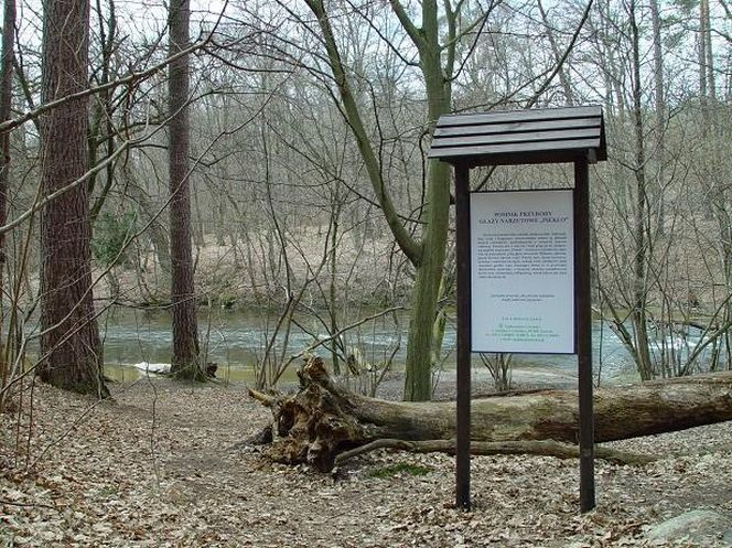 Uroczysko Piekło w Borach Tucholskich