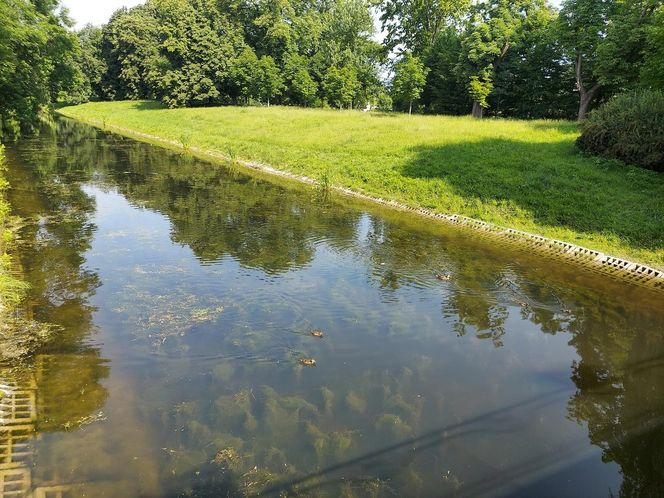 Park Miejski w Zamościu