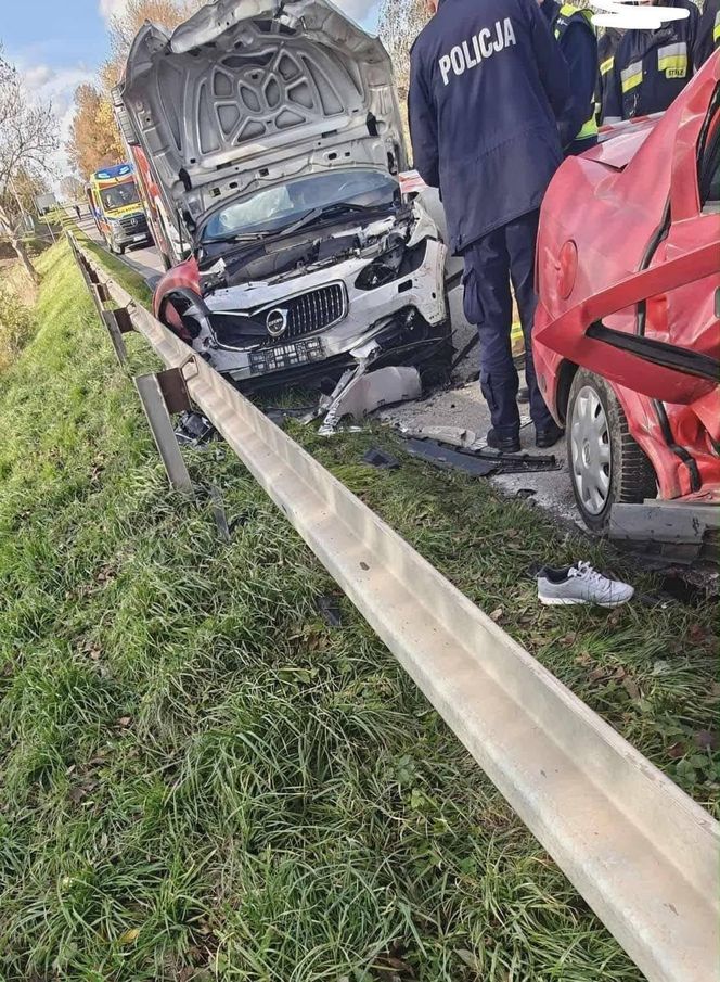 Tragiczny wypadek w miejscowości Wzdół Kolonia. Nie żyją dwie osoby, kolejne dwie są ranne