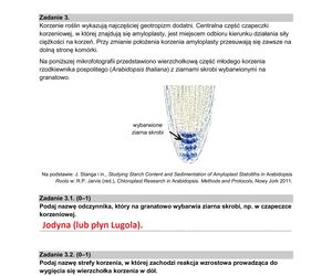 Matura 2025 biologia rozszerzona: ODPOWIEDZI do wszystkich zadań, gotowe rozwiązania matury z biologii rozszerzonej - Formuła 2015 [9.05.2025]	