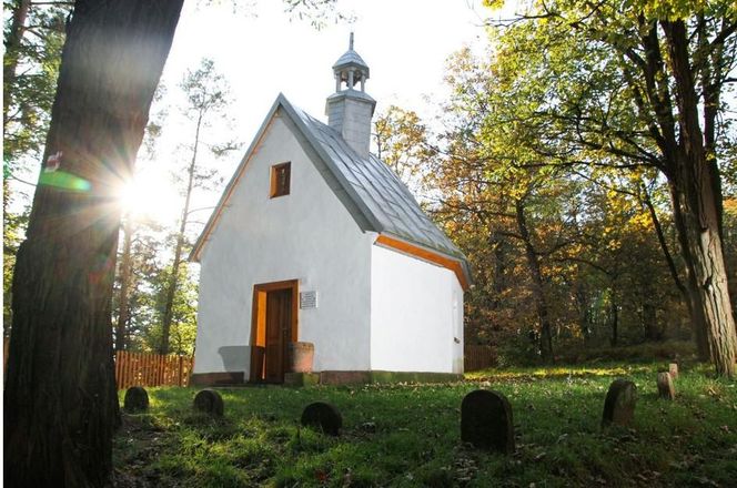 Góra Grodowa w Tumlinie