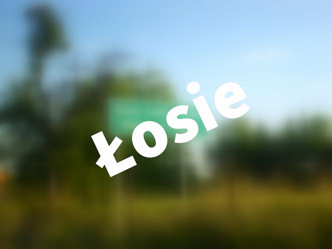 Łosie