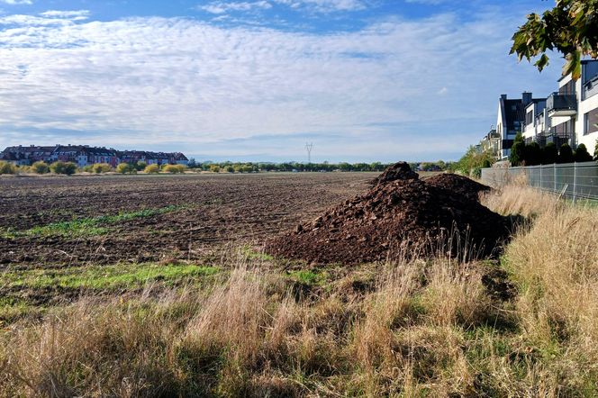 "Śmierdzący" problem na osiedlu. Mieszkańcy mają hałdy obornika pod oknami