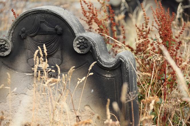 Akt wandalizmu na cmentarzu w Olsztynie