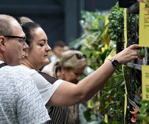 Bydgoski Festiwal Roślin 2023 przyciągnął tłumy [ZDJĘCIA]