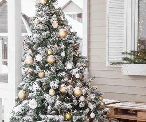  Historia świątecznej choinki. Zobacz najpiękniejsze dekoracje choinek 2025