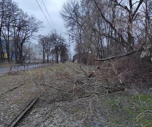 Opuszczona linia tramwajowa do Walcowni