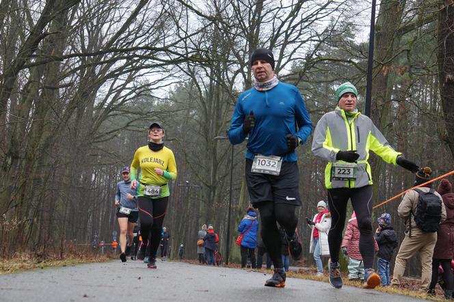 City Trail w Bydgoszczy. Miłośnicy biegania opanowali Myślęcinek [ZDJĘCIA]