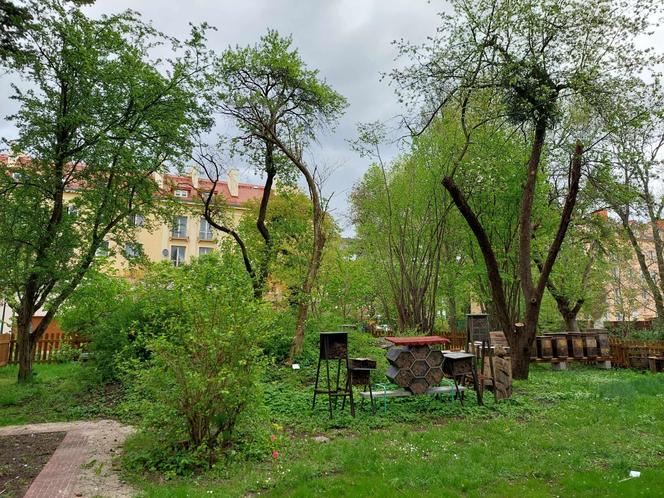 Ogród Botaniczny UKW jest jak nowy. Sprawdźcie, co się tam zmieniło!