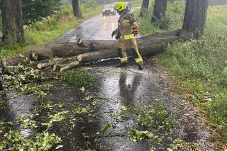 Burzowe skutki w okolicy Grudziądza