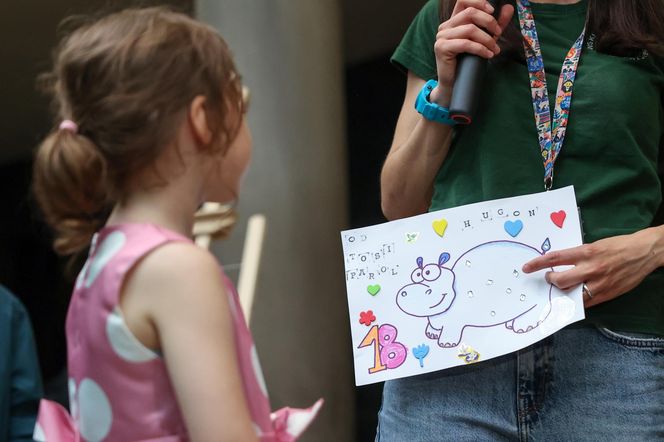 Hugo z ZOO baluje! Hipopotam z Warszawy ma 18 lat i dowód osobisty