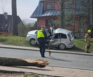 Tragedia w Zakopanem. Basia zginęła, jej pies przeżył