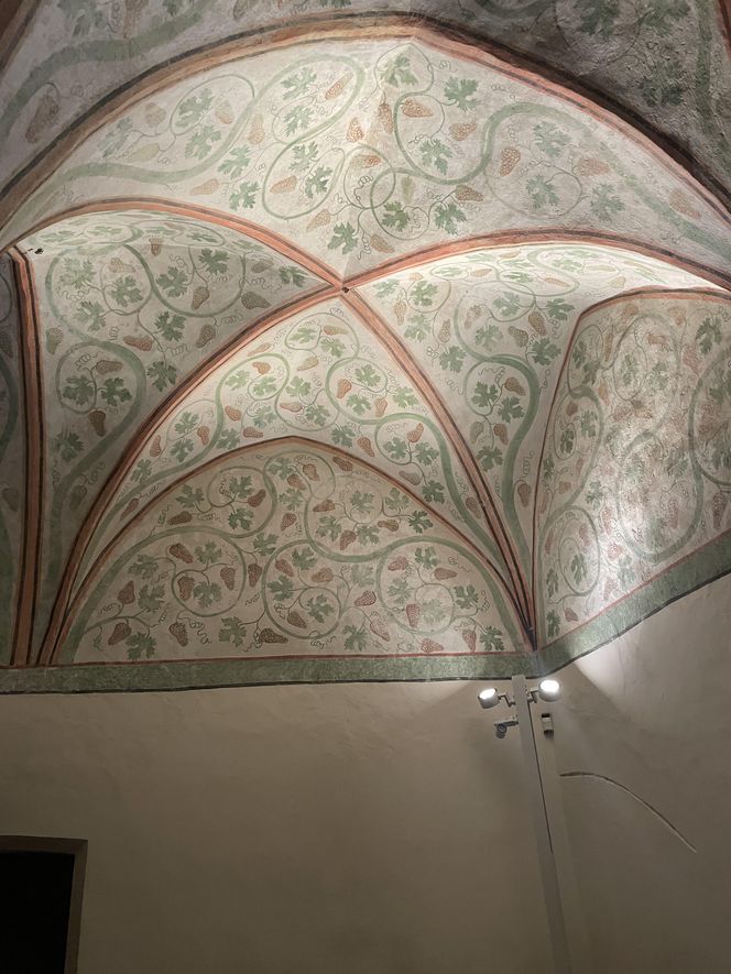  Wizyta w historycznym Malborku