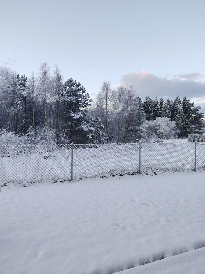 Pierwszy śnieg w tym roku. Pomorze pokryte białym puchem