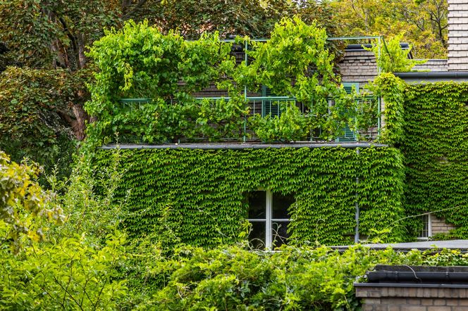 Willa Romualda Gutta na Kolonii Profesorskiej w Warszawie