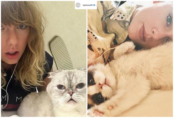 Taylor Swift z kotami