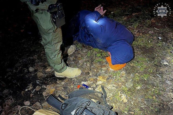 Kradli na Śląsku samochody klasy premium. Duża akcja kontrterrorystów