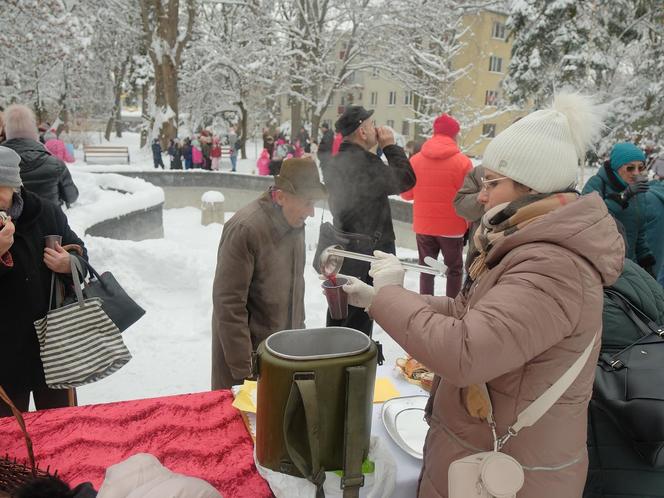 Lubelskiej tradycji stało się zadość. Choinka na LSM-ie już ubrana