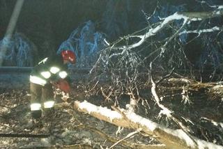 Barbara zniszczyła Polskę