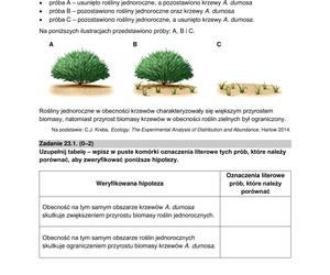 Matura 2024: biologia. Arkusze CKE i odpowiedzi. Poziom rozszerzony [Formuła 2015]