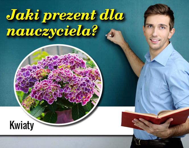 04 nauczyciele galeria