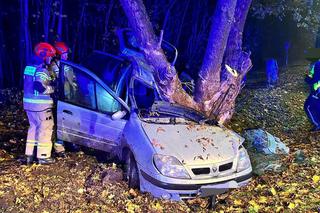 Poważny wypadek w Toruniu. Tak wyglądało auto po uderzeniu w drzewo