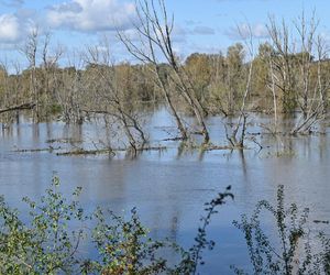 Przekroczone stany alarmowe na Odrze