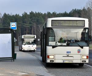 Od marca autobusy MZK z Torunia pojadą do Aleksandrowa i Ciechocinka!